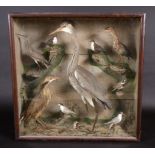 Taxidermy - a Victorian arrangement of waterside birds, centred by a heron, bittern,