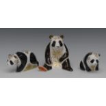 A Royal Crown Derby paperweight, Giant Panda, printed mark, gold stopper, boxed; two others,