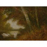 Frederick 'Fred' Hines (act. 1875-1928) Swans On A Woodland Pool signed, watercolour, 27cm x 37.