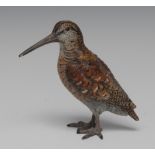 A 19th century cold painted bronze model, Snipe, naturalistically coloured, 9cm high, c.