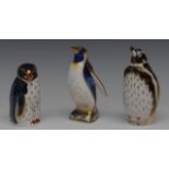 A Royal Crown Derby paperweight, Rock Hopper Penguin, 21st anniversary special edition 2002,