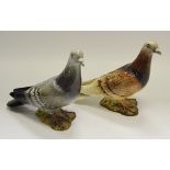 A Beswick pigeon in grey,