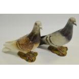 A Beswick Pigeon in grey,