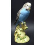 A Beswick model, Budgie, model no.