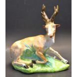 A Derby model, recumbent stag, spotted in brown, green shaped oval base, 16cm high, crown,