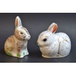 A Royal Crown Derby paperweight, Bunny, gold stopper; another, Nibbles,