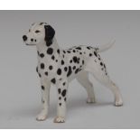 A Royal Worcester animal model, of a Dalmation, printed crown and circle mark in black, model no.