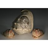 A 19th century cameo conch shell, well carved with Hebe,