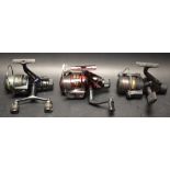 A Shimano GTM4010 reel; others Ambidex 2400;