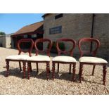 Four Victorian style balloon back chairs.