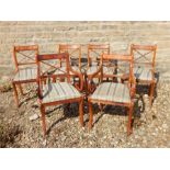 Six yew wood dining chairs, 2 carvers and 4 side chairs.