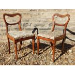 Pair of Rosewood balloon back chairs..