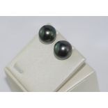 14ct gold & Tahitian pearl stud earrings 13.2mm Tahitian pearls