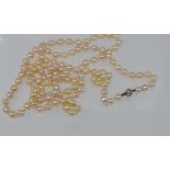 Long cream coloured pearl necklace with 9ct gold, clasp in matt white, pearls individually strung.