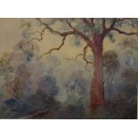 H Carter, Tree by a lake watercolour, signed lower left, 25cm x 33.5cm approx.