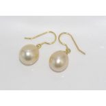 18ct yellow gold & golden south sea pearl earrings pearls 11.5mm