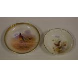 Two Royal Worcester hand painted dishes of birds