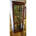 Van Treight display cabinet 62cm wide, 173cm high