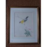 A pair of Japanese watercolours of birds perched on flowering springs framed and glazed H39cm W32cm