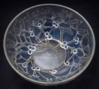 A Lalique bowl 'Gui': of circular form,