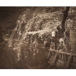 * Herbert George Ponting [1870-1935] -
Cherry Blossom Time in Japan. 
carbon print:-
37.3 x 45cm.