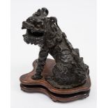 A Chinese bronze study of a temple lion: half seated with its head turned to the left,