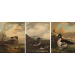 Circle of Henry Leonidas Rolfe [circa 1840-1860]-
Waterfowl on a lakeside,