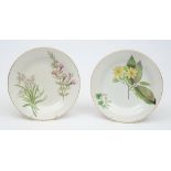 A pair of Wedgwood creamware plates: of circular form each decorated with botanical specimens