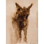 * Anthony Amos [1950-2010]- Donkey Foal:- signed bottom right oil on board 25 x 18cm