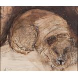 * Anthony Amos [1950-2010]- Sleeping Dog:- signed bottom left pencil drawing, pen,