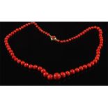 A graduated coral bead single string necklace: the beads graduated from 5mm diameter to 13mm