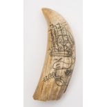 A Scrimshaw decorated tooth:,