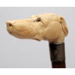 An Edwardian carved ivory dogs head mounted walking cane:,