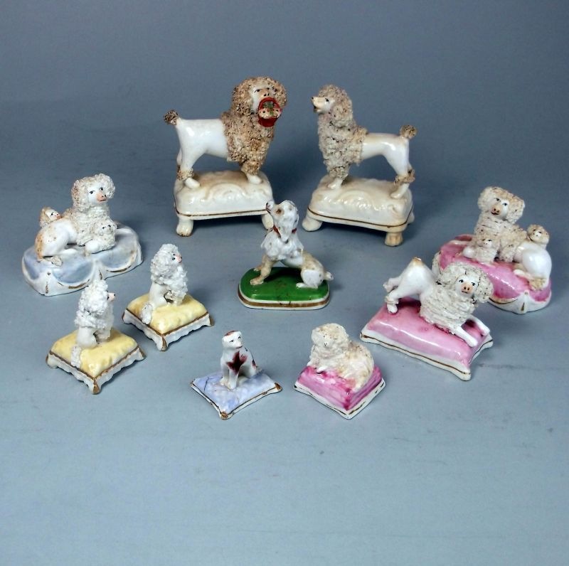 Nine Staffordshire porcelain poodles and a Chamberlain example: comprising a matched pair of