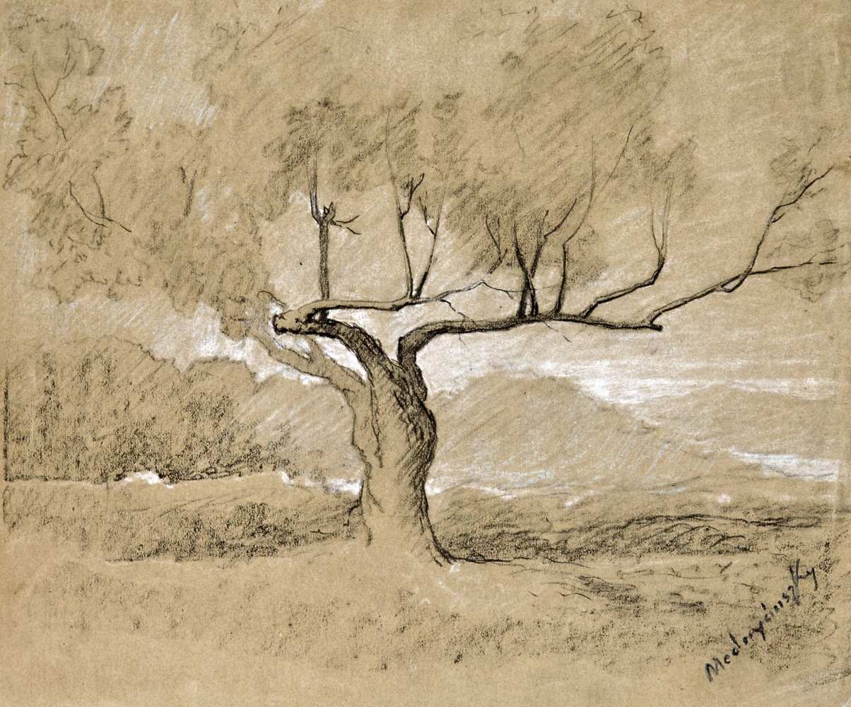 Mednyánszky László báró (Beckó, 1852 - Bécs, 1919) - Lone tree 26,5*31,5 cm, coal, opaque white on