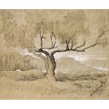 Mednyánszky László báró (Beckó, 1852 - Bécs, 1919) - Lone tree 26,5*31,5 cm, coal, opaque white on