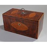 Unusual Regency mahogany and burr elm tea caddy, the rectangular box with boxwood strung edge and