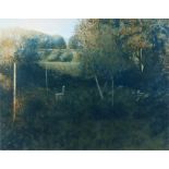 David Trindle, R.A. (b. 1932) Garden, No 4 artist proof, pencil signed, titled and numbered, image