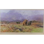 David Shepard, Hignland Cattle, pencil signed, 792/850