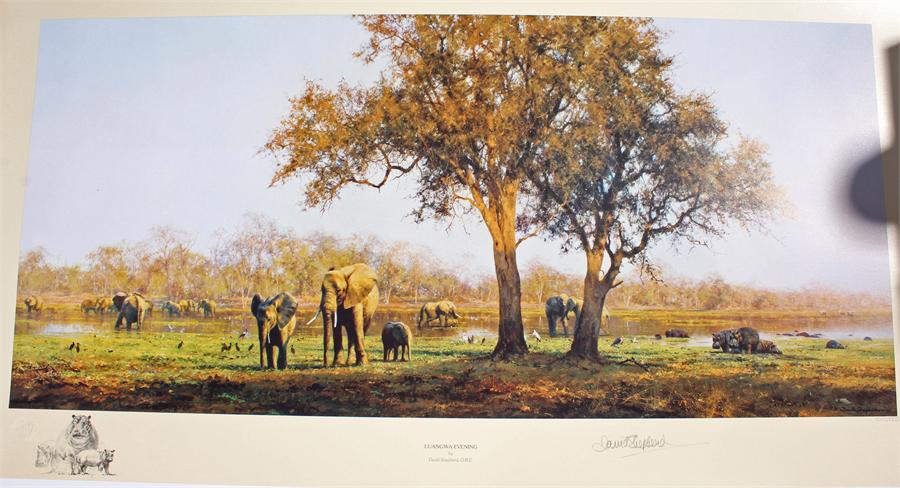 David Shepherd limited edition print, 'Luangwa Evening' pencil signed, 1060/1500