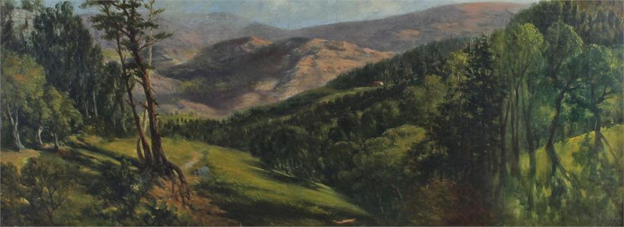 19th Century oil painting, of a trailing landscape, oil on canvas, unsigned, 73cm x 26cm excluding