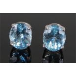 Pair of 18 carat white gold aquamarine set earrings, with a pair of oval aquamarines set with four