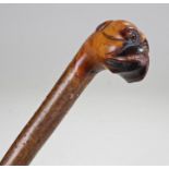 Late Victorian carved dog head cane, the large head carved as a bull dog above a natural cane,