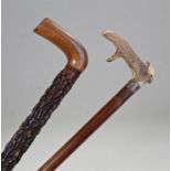 Two walking sticks, to include a stag antler example and a black thorn example, (2)