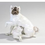 Rare early 19th Century Chamberlain Worcester porcelain pug & puppy figure. The pug seated with