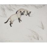 George Vernon Stokes (1873-1954) Siamese Cats, Artist signed proof etching, 25/75, 30cm x 26cm