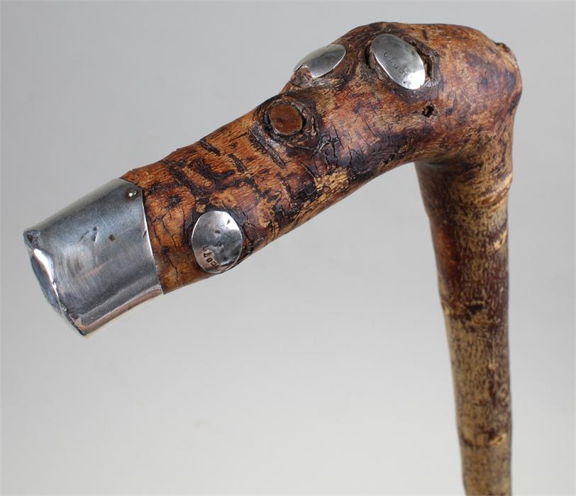 William Percy Edgar Rose walking stick, the stick set with silver plaques to the knots, assayed for - Image 2 of 3