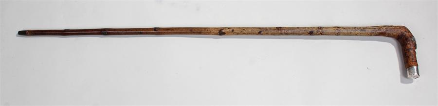 William Percy Edgar Rose walking stick, the stick set with silver plaques to the knots, assayed for - Image 3 of 3