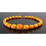 Graduated reformed amber bead necklace, the central bead of approximately 25mm graduating to beads