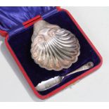 Edward VII silver butter dish and knife, Sheffield 1907, the cased set with a scallop shaped dish